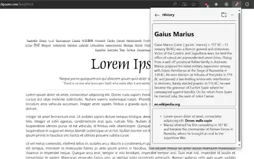Notersy  from Chrome web store to be run with OffiDocs Chromium online