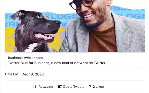 NoViewViews  from Chrome web store to be run with OffiDocs Chromium online