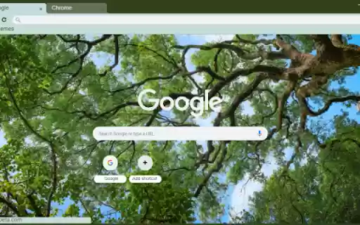Oak  from Chrome web store to be run with OffiDocs Chromium online
