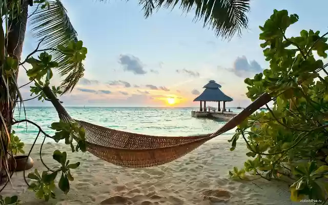 Ocean  from Chrome web store to be run with OffiDocs Chromium online