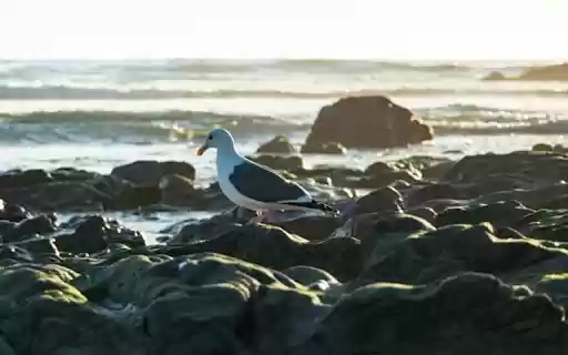 OCEAN BAY Theme  from Chrome web store to be run with OffiDocs Chromium online
