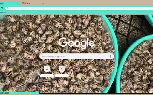 Oc Huong  from Chrome web store to be run with OffiDocs Chromium online