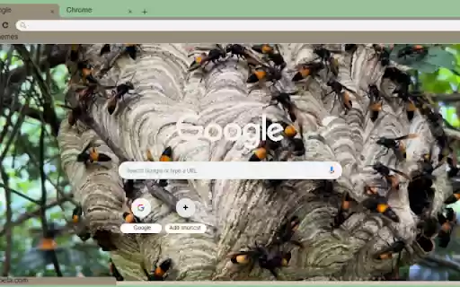 Ong Vo Ve  from Chrome web store to be run with OffiDocs Chromium online