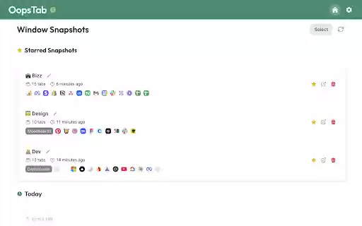 OopsTab – Never Lose Your Tabs Again  from Chrome web store to be run with OffiDocs Chromium online