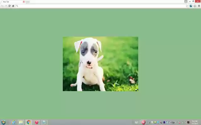 OpenPuppies  from Chrome web store to be run with OffiDocs Chromium online