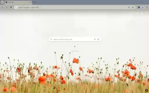 OrangeFlower Browser Theme  from Chrome web store to be run with OffiDocs Chromium online