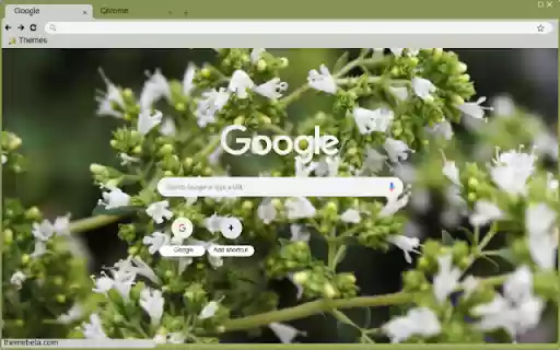 Origanum  from Chrome web store to be run with OffiDocs Chromium online