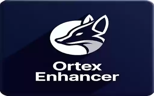ORTEX Enhancer  from Chrome web store to be run with OffiDocs Chromium online