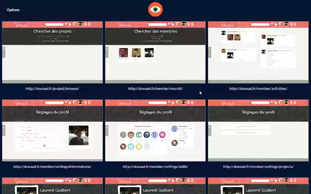 Overseer  from Chrome web store to be run with OffiDocs Chromium online
