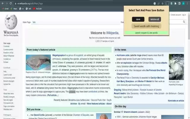ownDictionary  from Chrome web store to be run with OffiDocs Chromium online