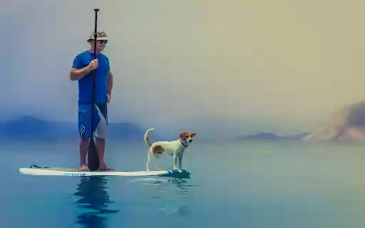 Owner and dog  from Chrome web store to be run with OffiDocs Chromium online