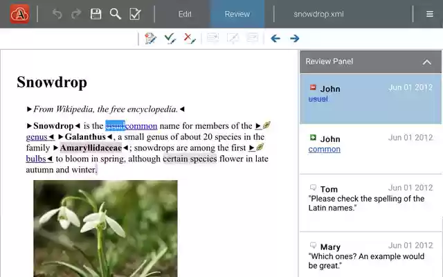 Oxygen XML Web Author  from Chrome web store to be run with OffiDocs Chromium online