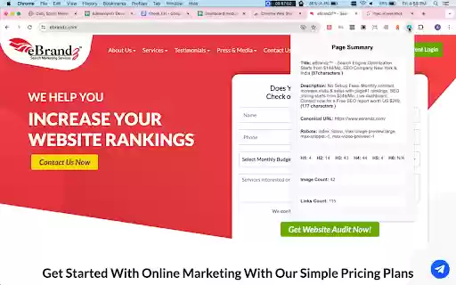 Page Info Extractor  from Chrome web store to be run with OffiDocs Chromium online