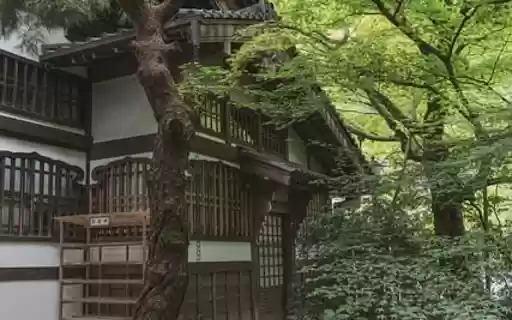 PAGODA Theme  from Chrome web store to be run with OffiDocs Chromium online