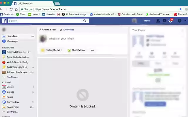 Pakistani Politics Blocker  from Chrome web store to be run with OffiDocs Chromium online
