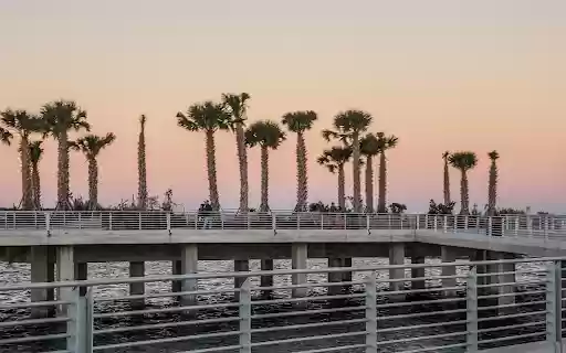 Palm trees on the bridge  from Chrome web store to be run with OffiDocs Chromium online