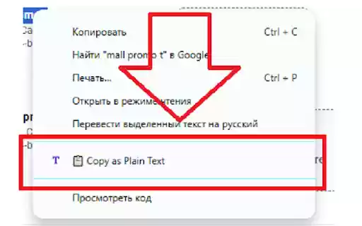 Paste as Plain Text  from Chrome web store to be run with OffiDocs Chromium online