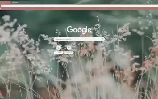 Peaceful Peach Fields from Chrome web store to be run with OffiDocs Chromium online Peaceful Peach Fields from Chrome web store to be run with OffiDocs Chromium online