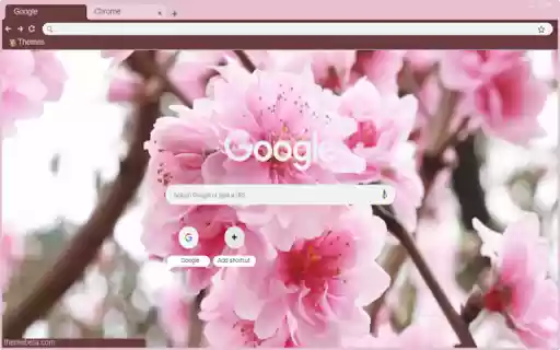 Peach blossom  from Chrome web store to be run with OffiDocs Chromium online
