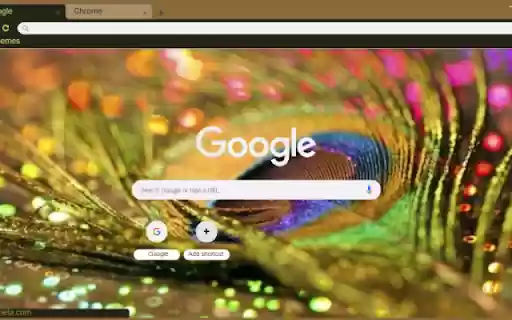 Peacock Feather Abstract  from Chrome web store to be run with OffiDocs Chromium online