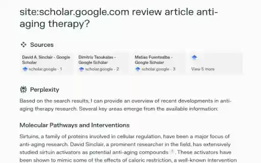 Perplexiti AI Goocle Scholar Search  from Chrome web store to be run with OffiDocs Chromium online