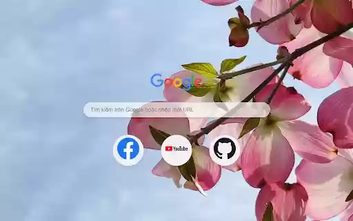 Petal Bliss  from Chrome web store to be run with OffiDocs Chromium online