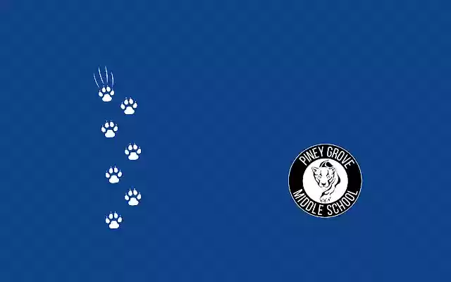PGMS Panthers Theme  from Chrome web store to be run with OffiDocs Chromium online