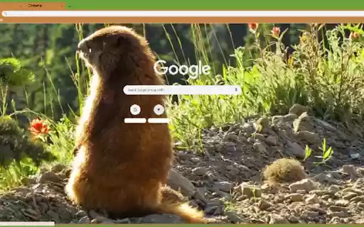 Philosopher Marmot v1 from Chrome web store to be run with OffiDocs Chromium online Philosopher Marmot v1 from Chrome web store to be run with OffiDocs Chromium online