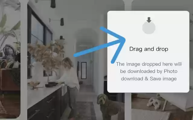Photo download Save image from Chrome web store to be run with OffiDocs Chromium online Photo download Save image from Chrome web store to be run with OffiDocs Chromium online