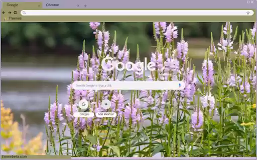 Chrome 웹 스토어의 Physostegia Virginiana가 OffiDocs Chromium 온라인에서 실행됩니다.