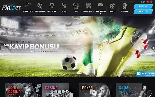 Pia Web Plugin  from Chrome web store to be run with OffiDocs Chromium online