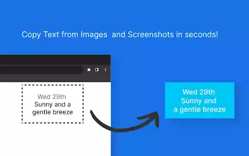 Pic2Text Pro Copy Text from Images and Screenshots  from Chrome web store to be run with OffiDocs Chromium online