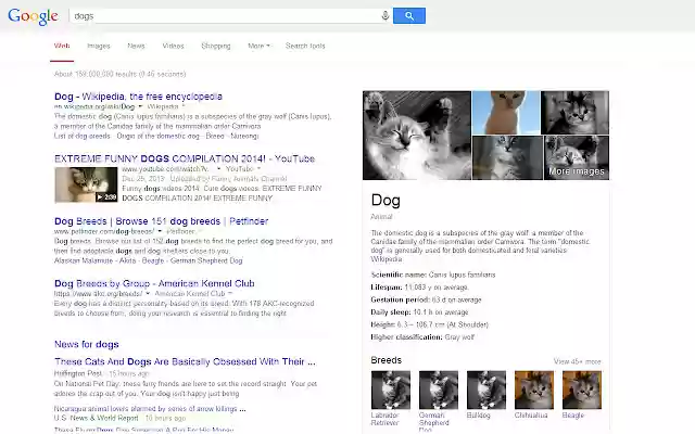 Pics to Kittens from Chrome web store to be run with OffiDocs Chromium online Pics to Kittens from Chrome web store to be run with OffiDocs Chromium online