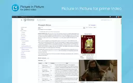 Picture In Picture for Prime Video  from Chrome web store to be run with OffiDocs Chromium online