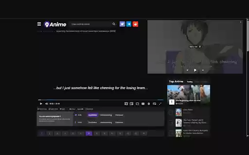 Picture in Picture with Subtitles  from Chrome web store to be run with OffiDocs Chromium online