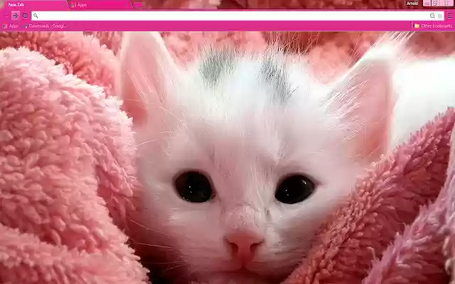 Pink Kitten  from Chrome web store to be run with OffiDocs Chromium online