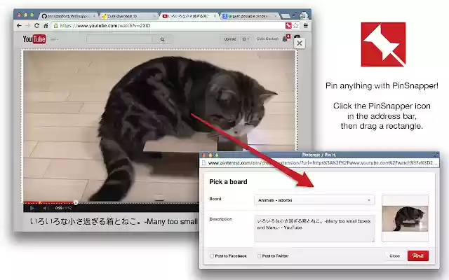 PinSnapper  from Chrome web store to be run with OffiDocs Chromium online