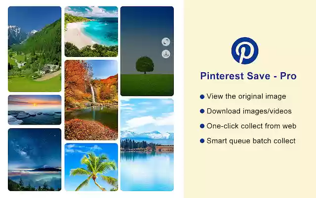 Pinterest Save Proin Chrome with by OffiDocs for