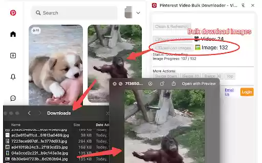 Pinterest Video Bulk Downloader HD Video and Images  from Chrome web store to be run with OffiDocs Chromium online