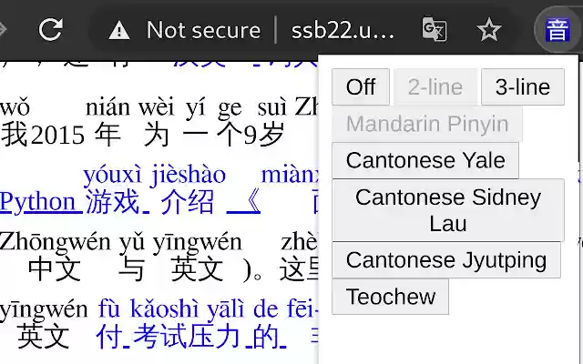 Pinyin Web  from Chrome web store to be run with OffiDocs Chromium online
