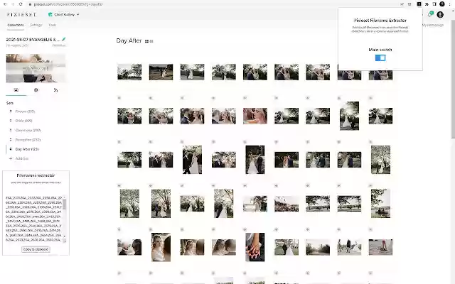 Pixieset Filename Extractor  from Chrome web store to be run with OffiDocs Chromium online