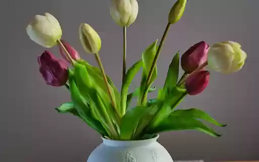 Plastic tulips  from Chrome web store to be run with OffiDocs Chromium online
