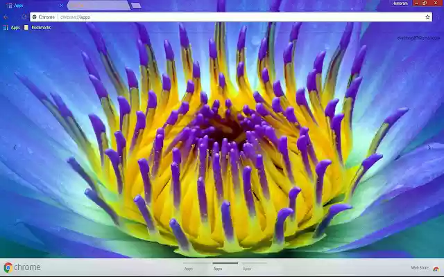 OffiDocs Chromiumオンラインで実行されるChrome WebストアのPleasurable Yellow