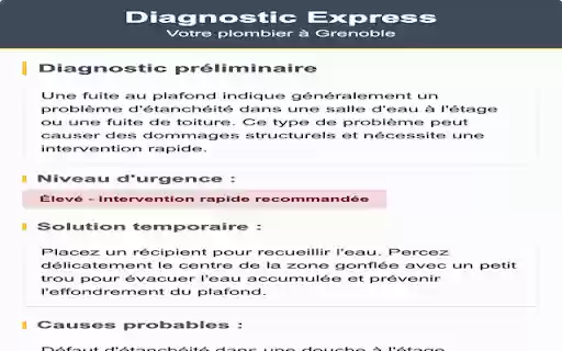 Plombier Grenoble SAM Diagnostic Express  from Chrome web store to be run with OffiDocs Chromium online