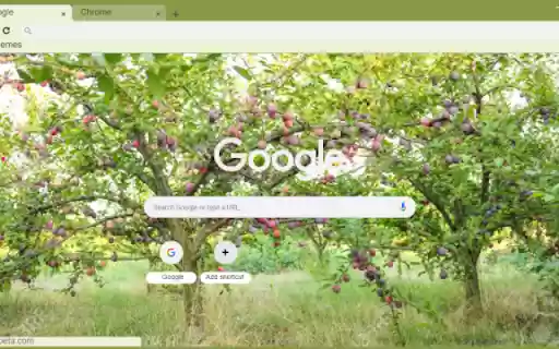 Plum Tree  from Chrome web store to be run with OffiDocs Chromium online