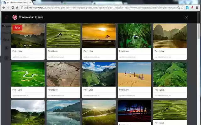 Pogo Extension  from Chrome web store to be run with OffiDocs Chromium online