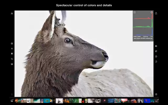 Polarr Photo Editor  from Chrome web store to be run with OffiDocs Chromium online