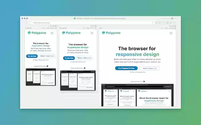 Chrome 网上商店的 Polypane 助手将与 OffiDocs Chromium 在线运行