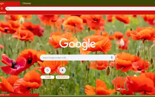 Poppy  from Chrome web store to be run with OffiDocs Chromium online