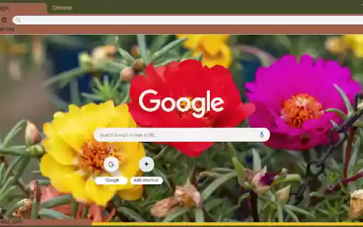 Portulaca  from Chrome web store to be run with OffiDocs Chromium online